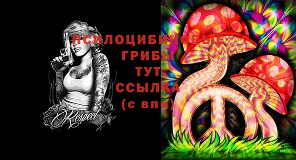 стафф Горняк