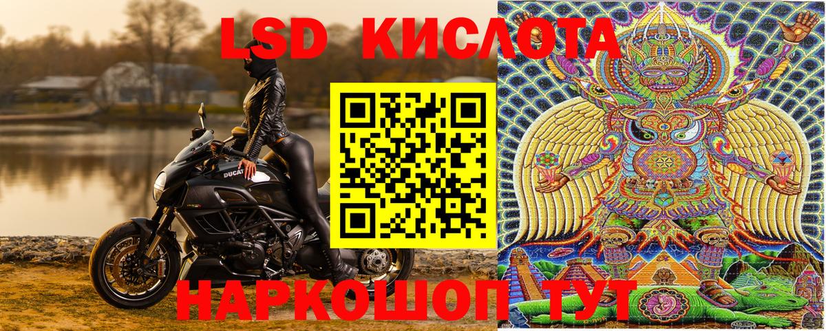 Марки NBOMe 1500мкг  Марки NBOMe 1500мкг  как найти закладки  Вход с VPN  Елизово 