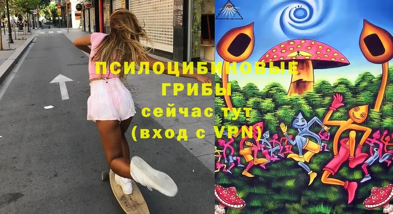 Галлюциногенные грибы Cubensis  Елизово 