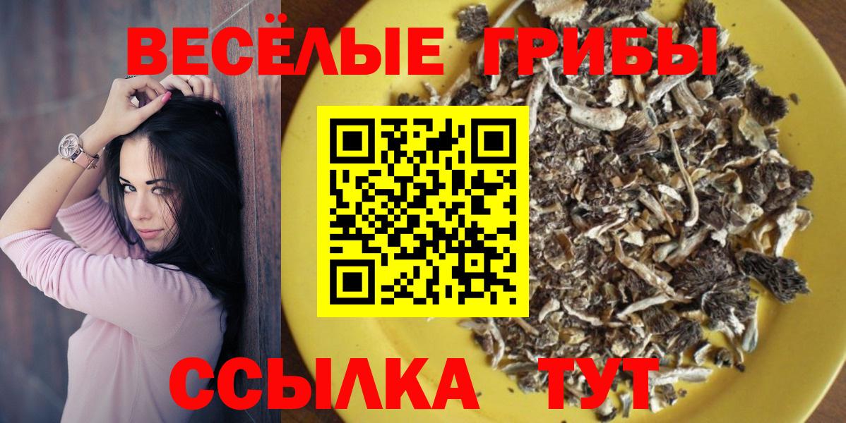 Галлюциногенные грибы Psilocybine cubensis  Вход с VPN  Елизово 