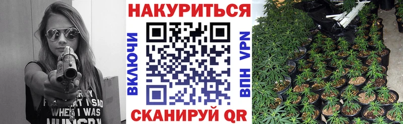 Бошки марихуана тримм  Елизово 
